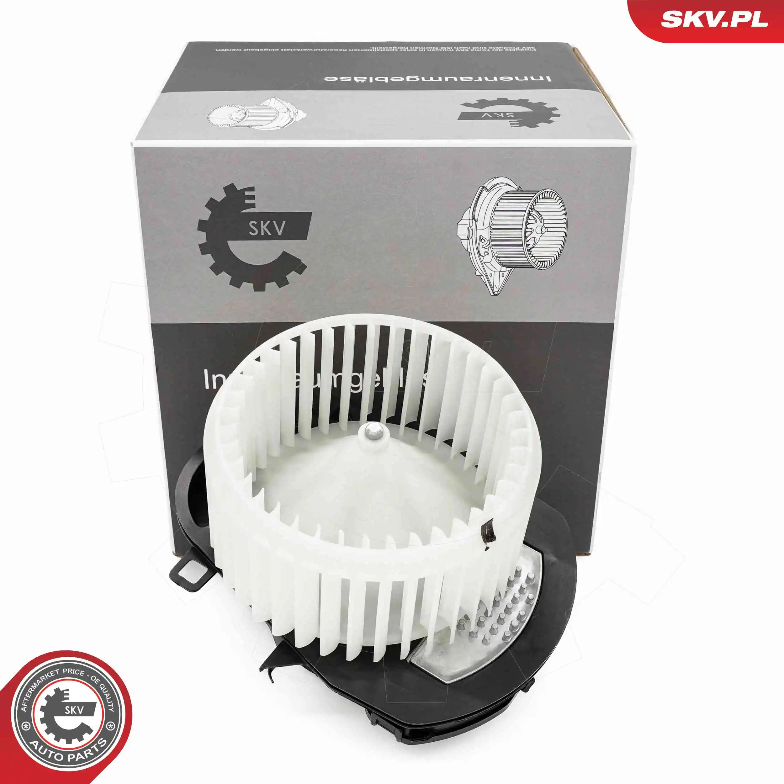 Interior Blower